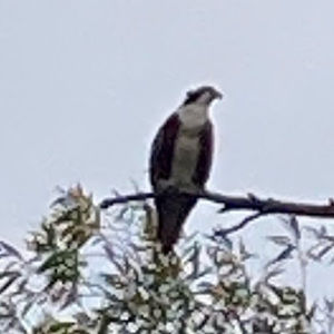 Meet your Posher, Jim